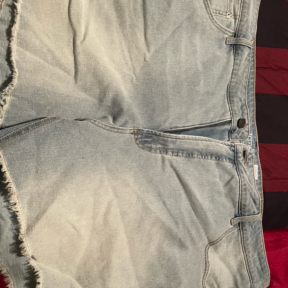 Terra Sky Size 24 Jeans